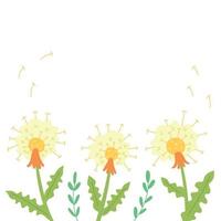 Dandelion blossoms fly vector