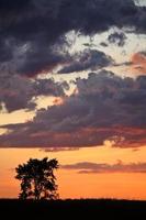 Gorgeous twilight in scenic Saskatchewan photo