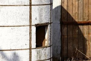 granero al lado de la cerca del tablero foto