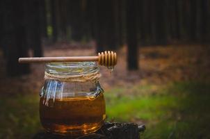 tarro de miel fresca y cuchara de miel en pino en el bosque. foto