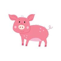 Cute character piggy vector