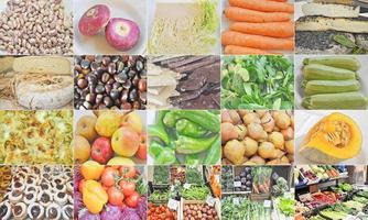 conjunto de collage de alimentos con frijoles, verduras, frutas y queso