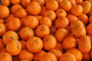 Orange tangerine fruit photo