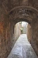 View of the city of Volterra photo