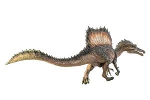 Spinosaurus , dinosaur on white background . photo
