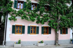 árbol a lo largo de la pared de la casa en hallstatt foto