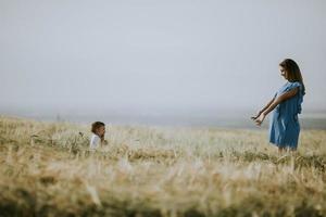 Young pregnant mother with her cute little boy in the field on beautiful sunny day photo