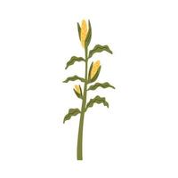 Corn plant doodle vector