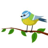 Titmouse on a tree branch. Green tree and bird. Cute forest animal. vector