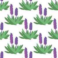 Vector seamless pattern with flowers violet color on white background