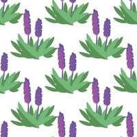 Vector seamless pattern with flowers violet color on white background