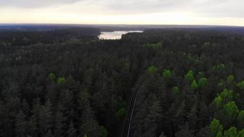 Aerial Labanoras forest landscape in rainy day with lake in background.Scenic dramatic Lithuania landscapes video