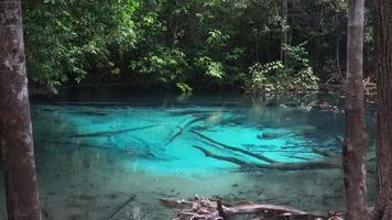 piscina azul en la selva, krabi, tailandia video