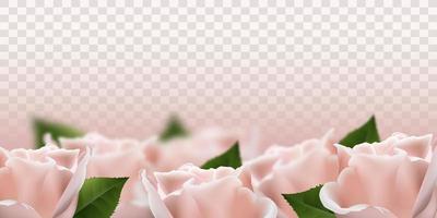 Realistic pink 3d rose flowers. Vector illustration