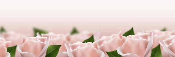 Realistic pink 3d rose flowers. Vector illustration