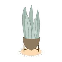 Flower Pot with Sansevieria Decorative Element of the Interior in Boho Style vector