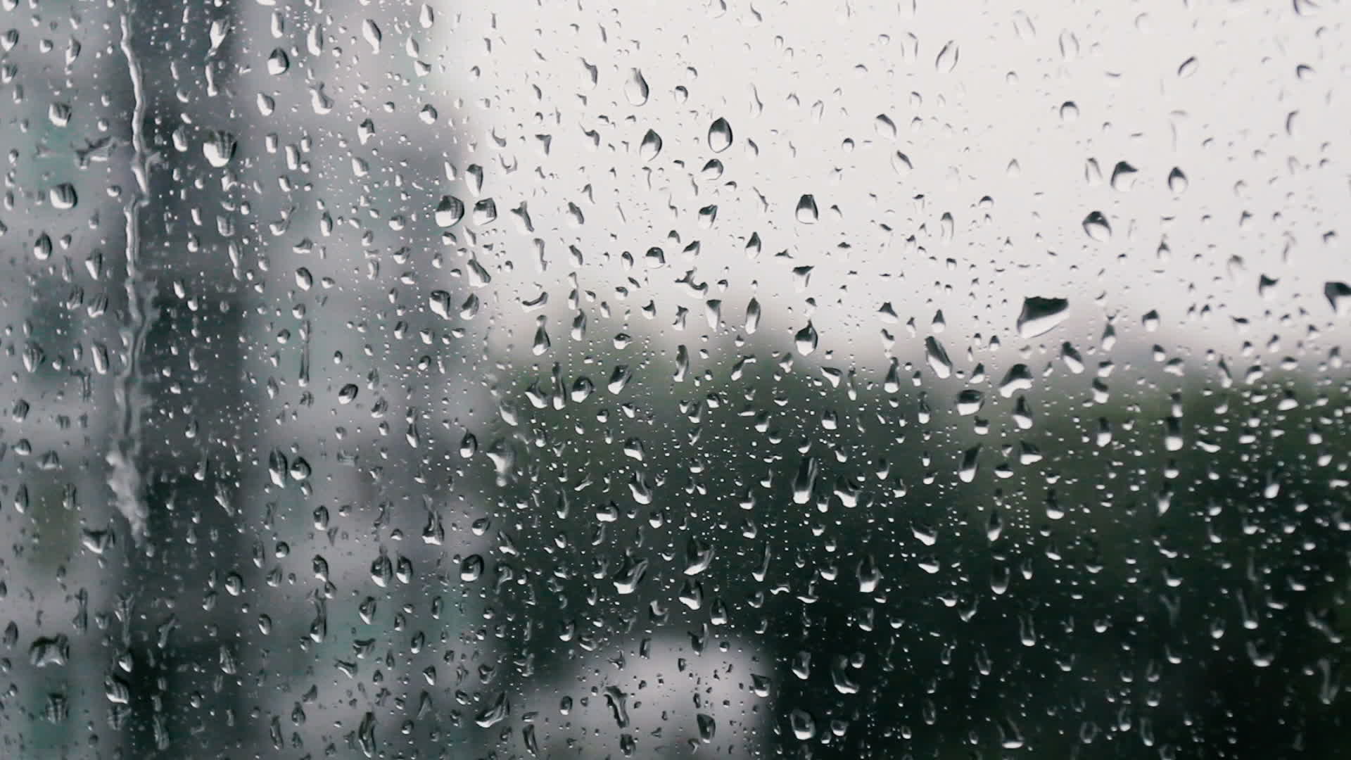 Rain Glass Stock Video Footage for Free Download Rain Glass Stock Video Footage for Free Download