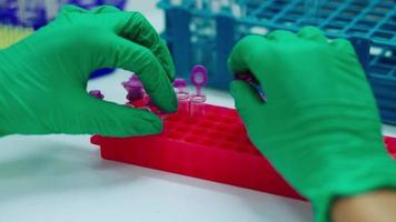Nahaufnahme des Wissenschaftlers, der das Mikrozentrifugenröhrchen für den PCR-Test im Biosicherheitsschrank bewegt. video