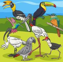 birds animal characters group cartoon illustration vector