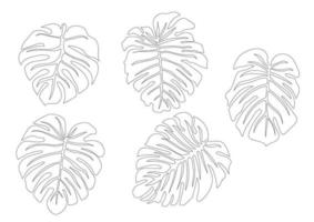 conjunto de hojas de monstera de línea continua. dibujo de contorno de hojas tropicales. ilustración de contorno de una línea aislada en blanco. arte minimalista moderno. boceto decorativo único y simple dibujado a mano. vector