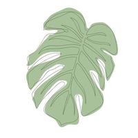 Monstera leaf - one line drawing. Continuous line exotic plant. Hand-drawn minimalist illustration, vector. vector