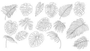 hojas tropicales en estilo de dibujo de una línea, dibujos tropicales en blanco y negro vector