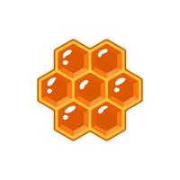 Honeycomb isolated on white background vector