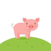 Cute little vector piglet standing on a green meadow