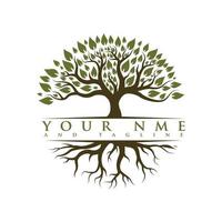 Tree logo design vector