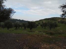 paisajes asombrosos de israel, vistas de la tierra santa foto