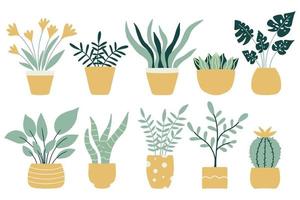 un conjunto de plantas en maceta de moda para el hogar. varias plantas de interior aisladas sobre fondo blanco. ilustración vectorial en estilo plano. vector