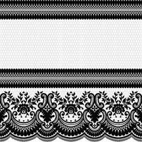 Seamless white floral lace pattern vector