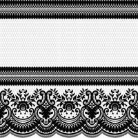 Seamless white floral lace pattern vector