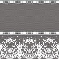 Abstract seamless lace pattern with flowers vector