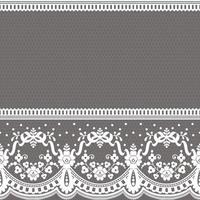 Abstract seamless lace pattern with flowers vector