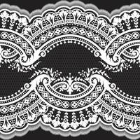 Abstract seamless lace pattern with flowers vector