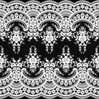 Abstract seamless lace pattern with flowers vector