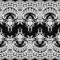 Abstract seamless lace pattern with flowers vector