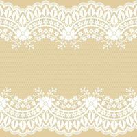 Abstract seamless lace pattern with flowers vector
