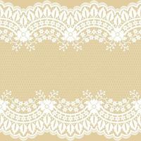 Abstract seamless lace pattern with flowers vector