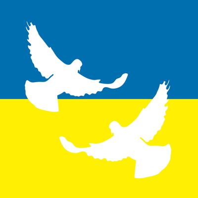 ukraine flag background with white bird