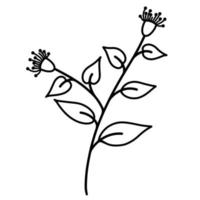 Twig with leaves and flowers. Vector icon isolated on white background. Hand drawn doodle illustration. Black outline of a branch. Botanical element, silhouette of herb. Plant sketch.