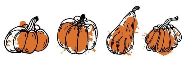 Set of vector pumpkin icons. Hand-drawn doodle. Black contour of a vegetable with a colored spot. Food sketch. Isolated illustration on a white background. Halloween outline symbol.