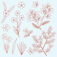 Nerium Oleander Plumeria Lilac Daffodils Flower Floral Leaf Outline Decoration Element vector