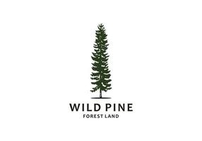 Hand drawn inspirational label with pine trees vector