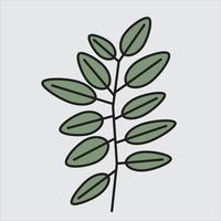 simplicity floral leaf drawing flat design. vector