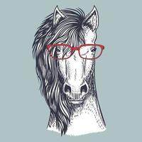 Horse hand drawn wearing a red glasses vector