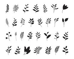 Leaf silhouette set. Hand drawn with leaves and flowers on white background. vector