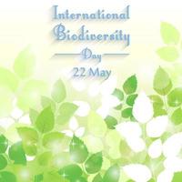 fondo del día internacional de la biodiversidad con hojas verdes frescas.vector vector