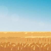 Rural landscape with wheat field and the blue sky on background. Vector illustration.